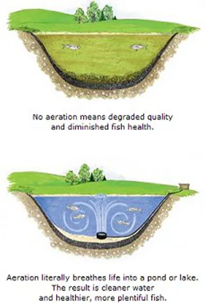 Lake and Pond Management Dallas Fort Worth by The Lake Doctor
