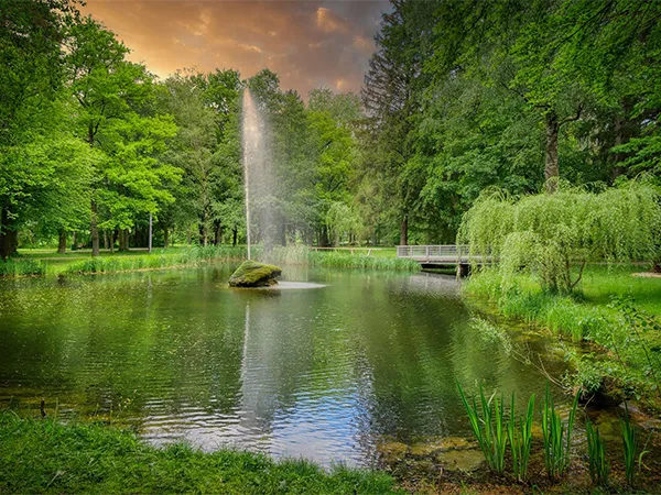 Lake and Pond Management Dallas Fort Worth by The Lake Doctor