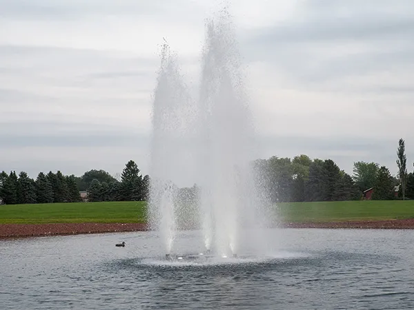 Lake and Pond Management Dallas Fort Worth by The Lake Doctor