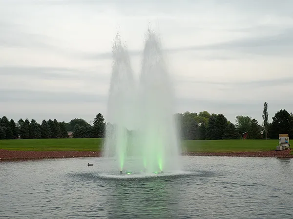 Lake and Pond Management Dallas Fort Worth by The Lake Doctor