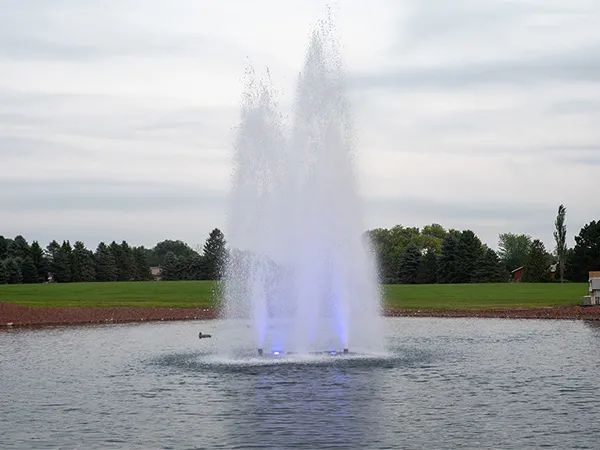 Lake and Pond Management Dallas Fort Worth by The Lake Doctor