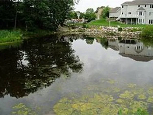Lake and Pond Management Dallas Fort Worth by The Lake Doctor