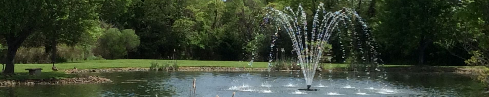 Lake Management Floating Fountains Aeration Irrigation Pump Systems Dallas Fort Worth Texas